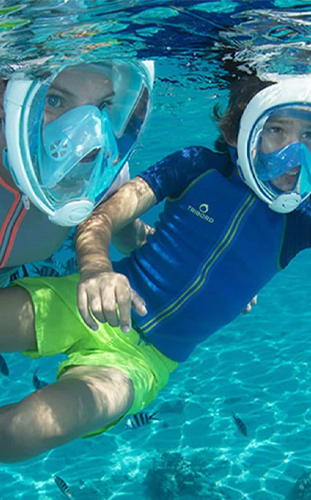 Tour de avistamiento de delfines